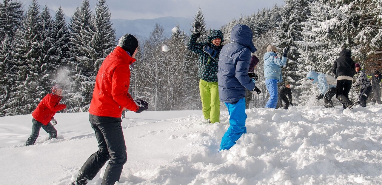 Winterlager - Schneeballschlacht Winterlager - Schneeballschlacht